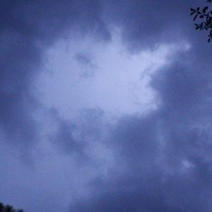 Meet your Posher, Joann